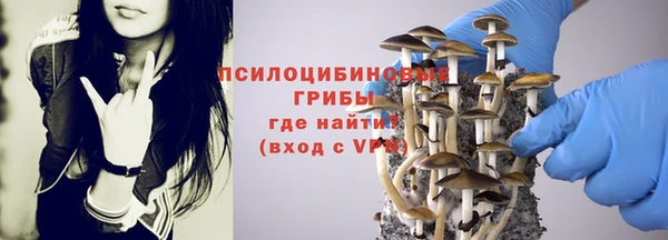 соль ск Осинники