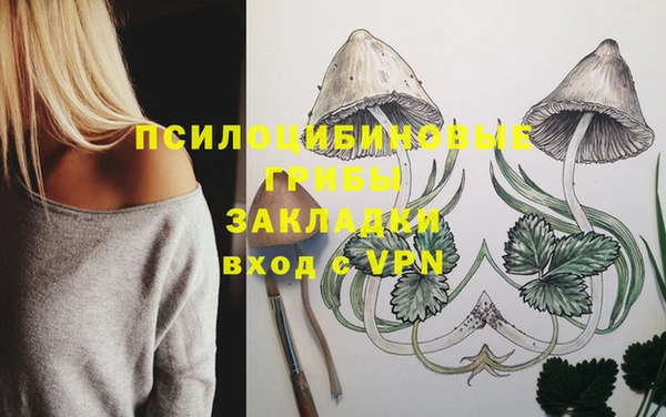 spice Осташков