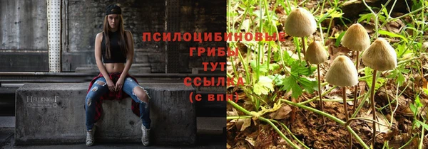 соль ск Осинники