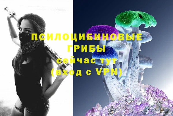 альфа пвп Нязепетровск