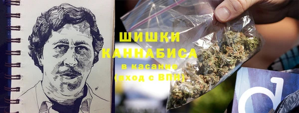 соль ск Осинники