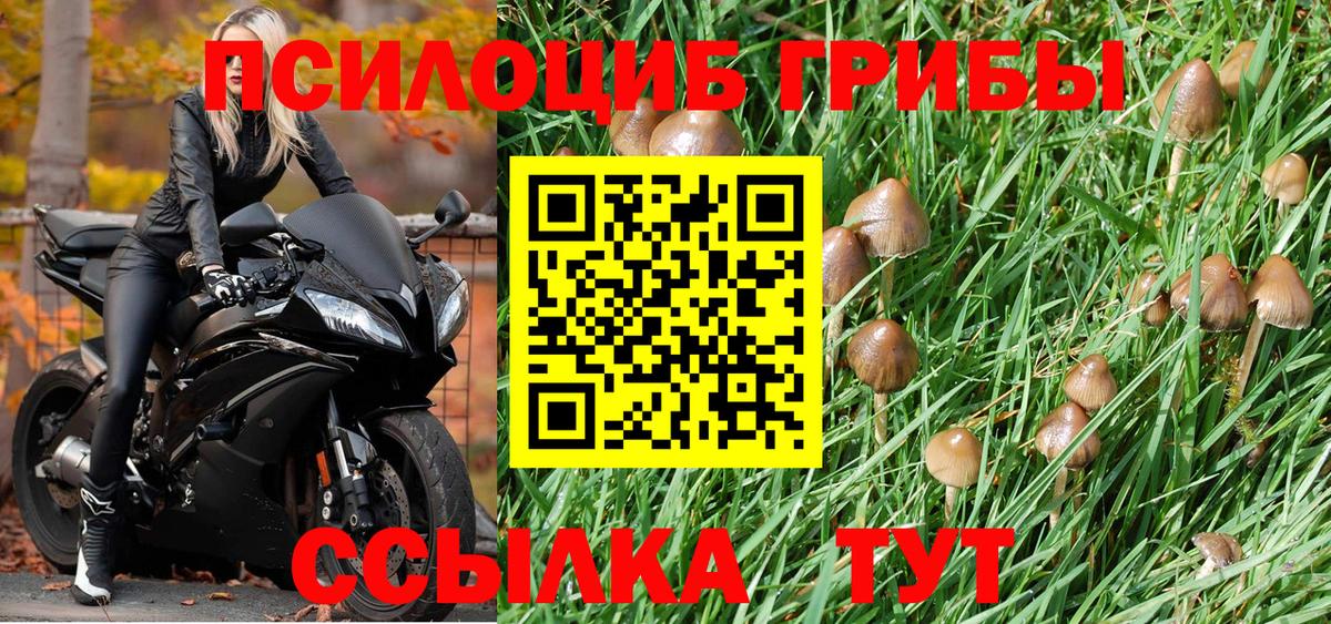 Галлюциногенные грибы GOLDEN TEACHER Клин