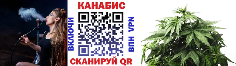 Шишки марихуана план  Клин 